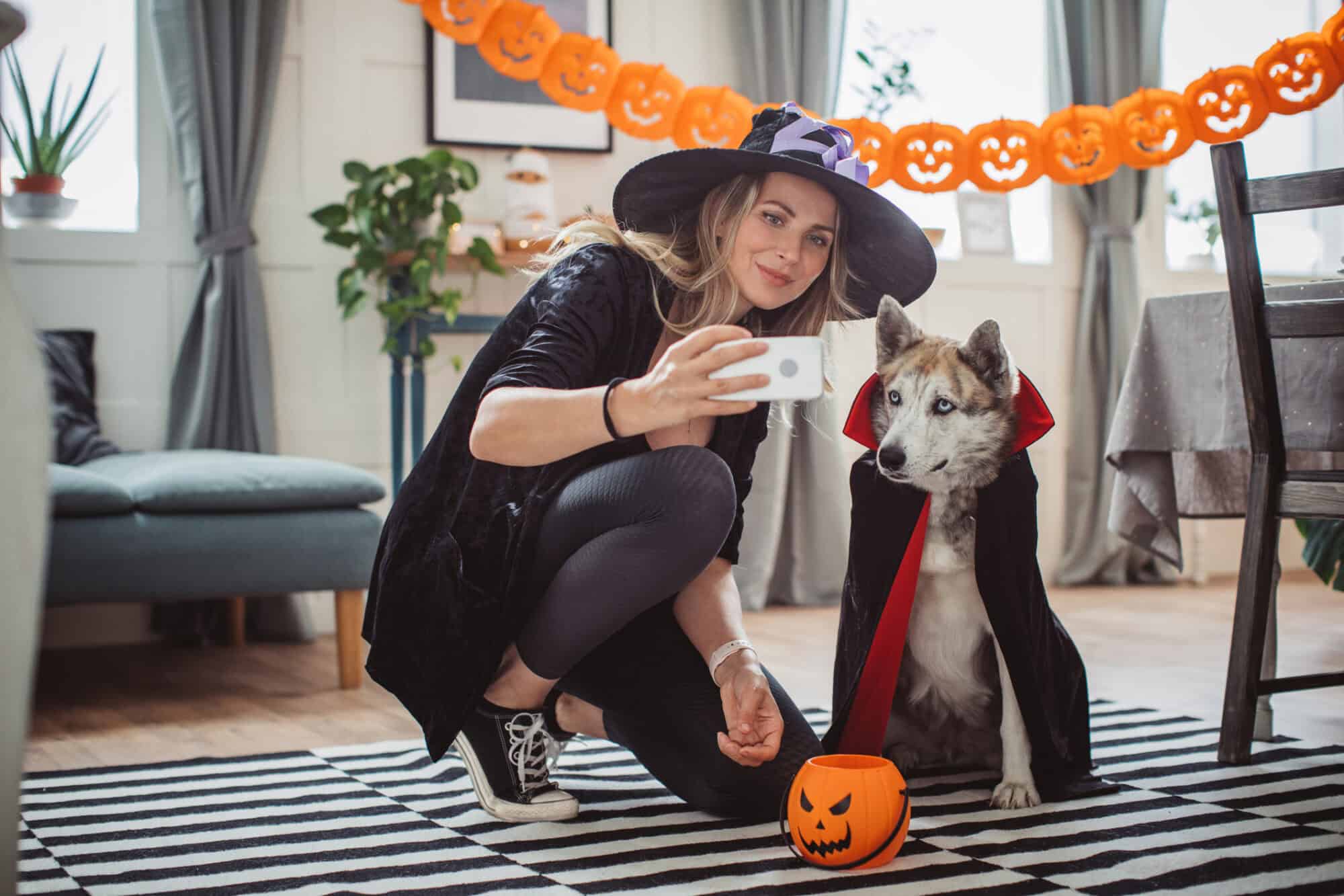 Halloween Pet Safety Tips.