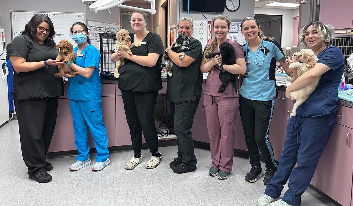 Our veterinary care team Our veterinary care team