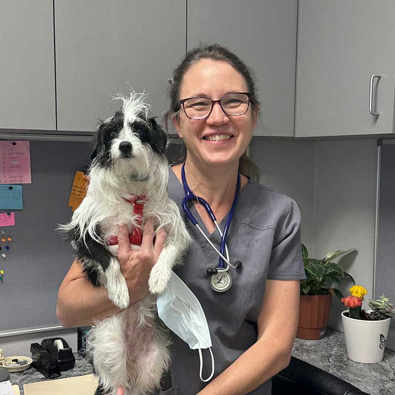 One of our staff with a canine patient One of our staff with a canine patient