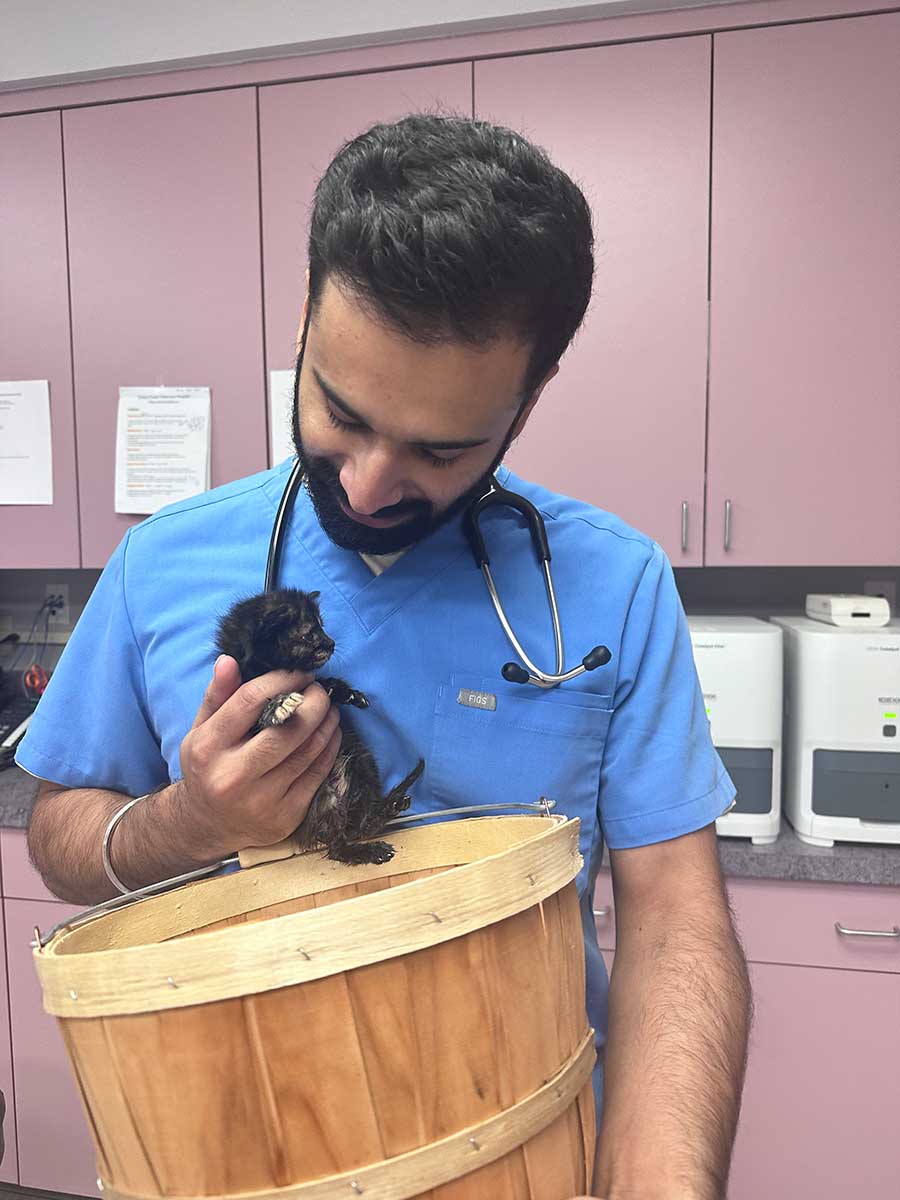 Our veterinarian with a new feline patient Our veterinarian with a new feline patient