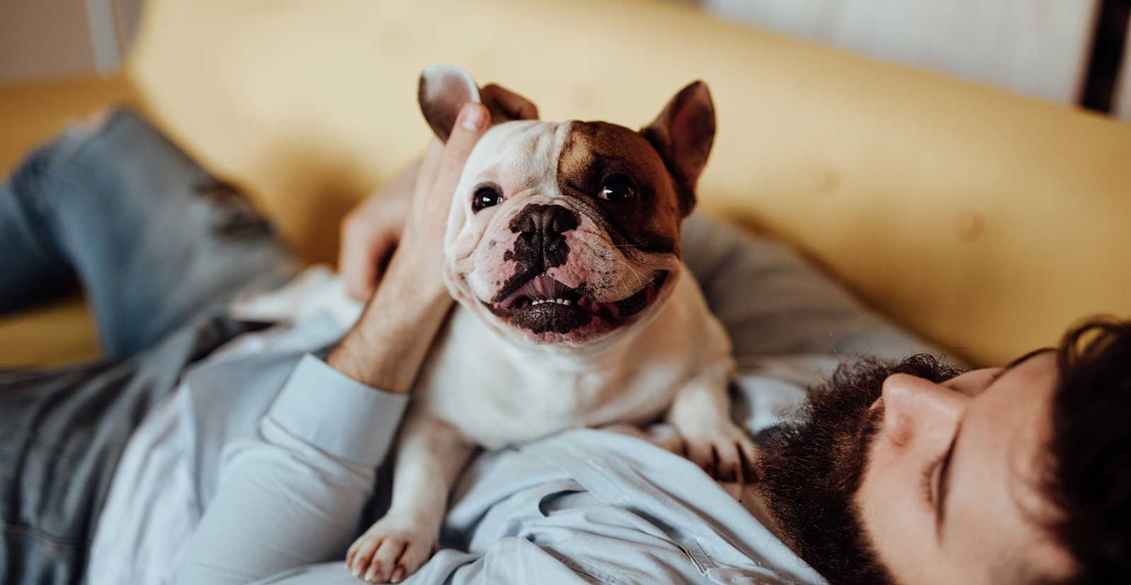 A dog cuddling with their human