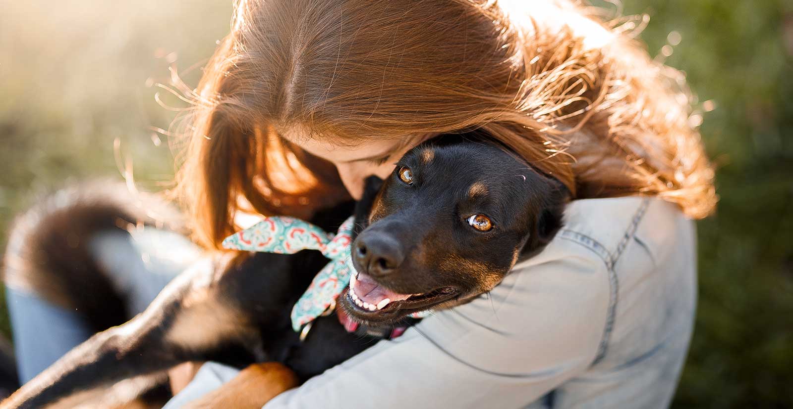 A dog cuddling with their human