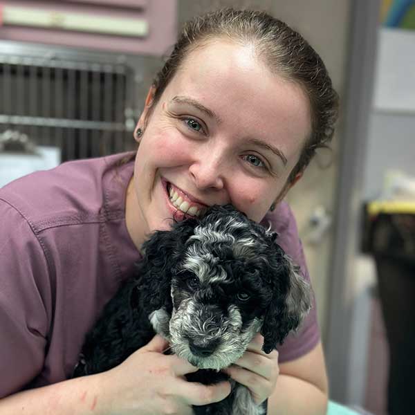 Katlyn , RVT, Registered Veterinary Technician Katlyn , RVT, Registered Veterinary Technician