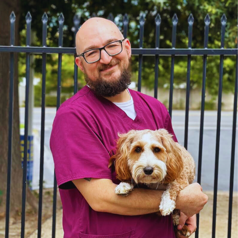 Austin , Veterinary Assistant Austin , Veterinary Assistant