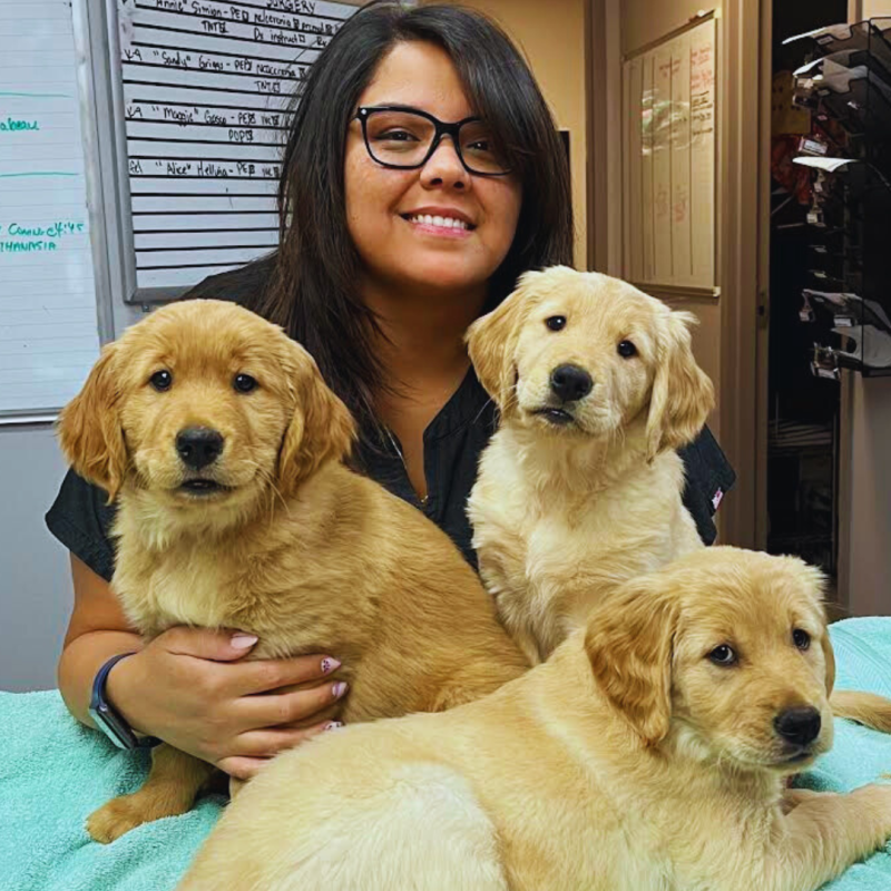 Andrea, RVT , Registered Veterinary Technician Andrea, RVT , Registered Veterinary Technician
