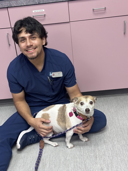 Jose , Veterinary Assisstant Jose , Veterinary Assisstant