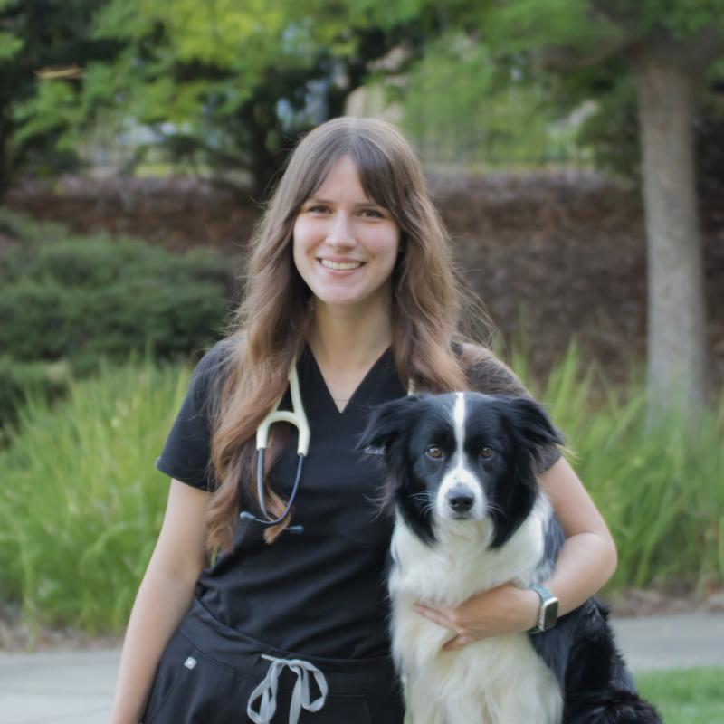 Hailey Adler, Veterinarian